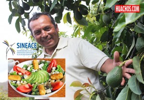 Sineace normaliza las competencias que deben tener los hombres y mujeres del campo Sineace normaliza las competencias que deben tener los hombres y mujeres del campo