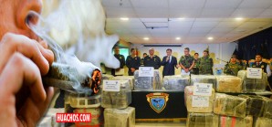 PNP decomisa 853 kilos de marihuana tipo 'creepy' destinado a los chilenos PNP decomisa 853 kilos de marihuana tipo 'creepy' destinado a los chilenos