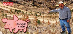 Corrupción en el distrito de Chavín con la farsa de cosecha de agua y siembra de pinos Corrupción en el distrito de Chavín con la farsa de cosecha de agua y siembra de pinos