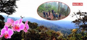 Tala del Bosque Nublado Amaru será frenada con declaración de área natural protegida Tala del Bosque Nublado Amaru será frenada con declaración de área natural protegida