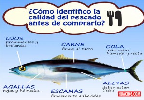 Aprende a reconocer el pescado fresco y de calidad Aprende a reconocer el pescado fresco y de calidad