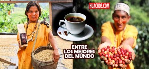 Día del Café Peruano: Comunidades mejoran sus ingresos con café de bosques conservados Día del Café Peruano: Comunidades mejoran sus ingresos con café de bosques conservados