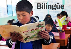 29 institutos pedagógicos públicos invitados por SINEACE a participar por financiamiento 29 institutos pedagógicos públicos invitados por SINEACE a participar por financiamiento