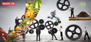 Publican pre-proyecto de reglamento del motor de la economía peruana del futuro Publican pre-proyecto de reglamento del motor de la economía peruana del futuro