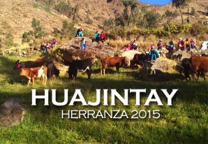 Celebrando la herranza huajintina 2015, distrito de Huachos - VIDEO Celebrando la herranza huajintina 2015, distrito de Huachos - VIDEO