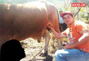 El terrible Sócrates Cicerón mete la mano a todo lo que se presente en su camino El terrible Sócrates Cicerón mete la mano a todo lo que se presente en su camino