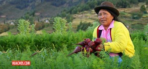 El gobierno central ningunea a los que hacen comer a todo el Perú El gobierno central ningunea a los que hacen comer a todo el Perú