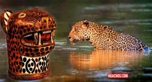 Salvemos al gran felino latinoamericano de la avidez depredadora de los chinos | VIDEO Salvemos al gran felino latinoamericano de la avidez depredadora de los chinos | VIDEO