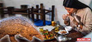 El problema es que los chinos "comen todo lo que tiene 4 patas salvo la mesa; todo lo que vuela salvo los aviones..." El problema es que los chinos "comen todo lo que tiene 4 patas salvo la mesa; todo lo que vuela salvo los aviones..."
