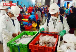 Decomisan más de 273 toneladas de recursos marinos obtenidos ilegalmente Decomisan más de 273 toneladas de recursos marinos obtenidos ilegalmente