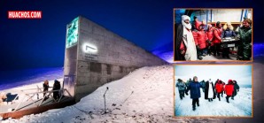 Perú y otros fueron los últimos que llevaron sus semillas nativas al "Arca de Noé" Perú y otros fueron los últimos que llevaron sus semillas nativas al "Arca de Noé"