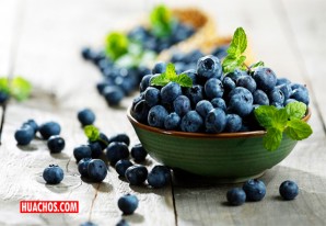 Nutritivo y bueno para el cerebro, pero ausente en la mesa peruana Nutritivo y bueno para el cerebro, pero ausente en la mesa peruana