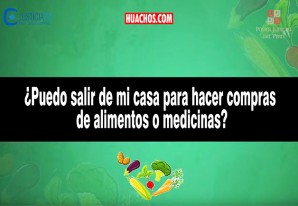 ¿Puedo salir de mi casa para hacer compras de alimentos o medecinas? | VIDEO ¿Puedo salir de mi casa para hacer compras de alimentos o medecinas? | VIDEO