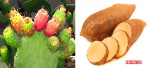 Conoce alimentos ricos en fibra y vitaminas para fortalecer el sistema inmunológico Conoce alimentos ricos en fibra y vitaminas para fortalecer el sistema inmunológico