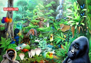 Coronavirus: Un mensaje de la Naturaleza | VIDEO Coronavirus: Un mensaje de la Naturaleza | VIDEO