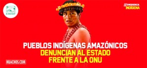 33 días sin plan de atención médica a los pueblos indígenas en medio del COVID-19 33 días sin plan de atención médica a los pueblos indígenas en medio del COVID-19