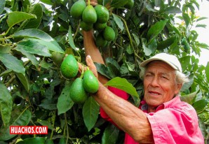 Certificación de lugares de producción sigen vigentes en beneficio de la agricultura familiar Certificación de lugares de producción sigen vigentes en beneficio de la agricultura familiar