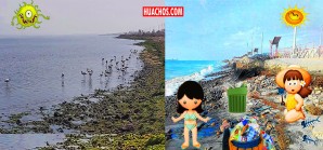 Playas de Pisco con presencia humana y la misma playa sin presencia humana Playas de Pisco con presencia humana y la misma playa sin presencia humana