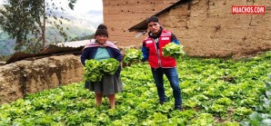Las familias salcabambinas no esperan los famosos Bonos para comer bien y rico Las familias salcabambinas no esperan los famosos Bonos para comer bien y rico