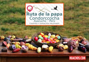 Agricultores ayacuchanos proponen "La Ruta de la Papa" | VIDEO Agricultores ayacuchanos proponen "La Ruta de la Papa" | VIDEO