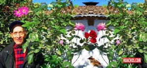 Dedicatoria al pueblo que me vio nacer hace casi 80 primaveras Dedicatoria al pueblo que me vio nacer hace casi 80 primaveras