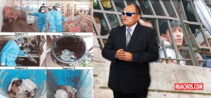 Hacinamiento y basural son caldo de cultivo para virus chino en penal huancavelicano Hacinamiento y basural son caldo de cultivo para virus chino en penal huancavelicano