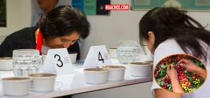 Competencia "Taza de Excelencia Perú 2020" busca el mejor café peruano y productor del año Competencia "Taza de Excelencia Perú 2020" busca el mejor café peruano y productor del año