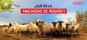 El fenómeno de la inmunidad de rebaño en una pandemia como la del Covid-19 El fenómeno de la inmunidad de rebaño en una pandemia como la del Covid-19
