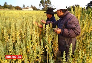 Indicador de la Actividad Económica de Huancavelica, 2do. Trimestre 2020 Indicador de la Actividad Económica de Huancavelica, 2do. Trimestre 2020