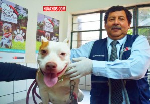 Hay que tener cuidado con el mejor amigo del Hombre | VIDEO Hay que tener cuidado con el mejor amigo del Hombre | VIDEO