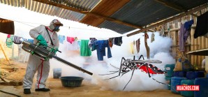 18 regiones del país reciben más plata para la guerra contra el peligroso dengue 18 regiones del país reciben más plata para la guerra contra el peligroso dengue