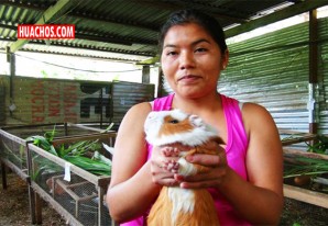 En el Día del Cuy, Aricel nos muestra que la crianza de este roedor es buen negocio | VIDEO En el Día del Cuy, Aricel nos muestra que la crianza de este roedor es buen negocio | VIDEO
