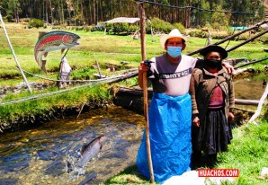 Don Silverio y doña Juana los proveedores exitosos de truchas | VIDEO Don Silverio y doña Juana los proveedores exitosos de truchas | VIDEO