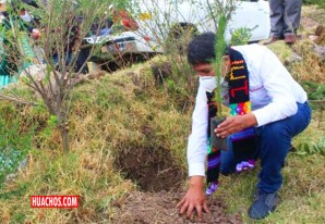 Huancavelica: Inician siembra de un millón y medio de plantones en zona sur de Angaraes Huancavelica: Inician siembra de un millón y medio de plantones en zona sur de Angaraes