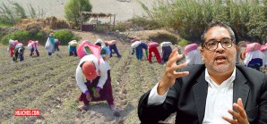 “Algunas malas agroexportadoras toman a trabajadores y no los incorporan a planilla” “Algunas malas agroexportadoras toman a trabajadores y no los incorporan a planilla”