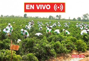 Pleno del Congreso aprueba el texto sustitutorio del PL 6821 y otros | DIRECTO Pleno del Congreso aprueba el texto sustitutorio del PL 6821 y otros | DIRECTO