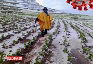 Huancavelica: No solo el coronavirus les afecta, la madre naturaleza también... Huancavelica: No solo el coronavirus les afecta, la madre naturaleza también...