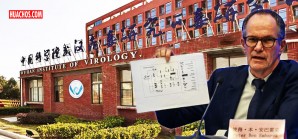 Expertos de la OMS en China no hallan pruebas del origen del virus | VIDEO Expertos de la OMS en China no hallan pruebas del origen del virus | VIDEO