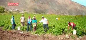 Georeferenciación permitirá delimitación exacta de más de 6,000 comunidades campesinas Georeferenciación permitirá delimitación exacta de más de 6,000 comunidades campesinas