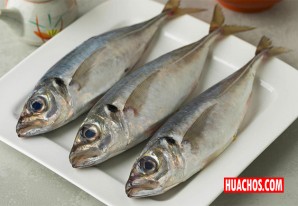 El rico jurel será abastecido a los minoristas por los pescadores artesanales El rico jurel será abastecido a los minoristas por los pescadores artesanales