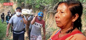 Urge un fondo para salvar la Amazonía compatible con el crecimiento económico Urge un fondo para salvar la Amazonía compatible con el crecimiento económico