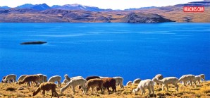 El caso del agua Ica-Huancavelica a vuelo de pájaro para los neófitos El caso del agua Ica-Huancavelica a vuelo de pájaro para los neófitos