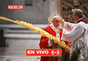 El papa Francisco celebró la misa del Domingo de Ramos | DIRECTO El papa Francisco celebró la misa del Domingo de Ramos | DIRECTO