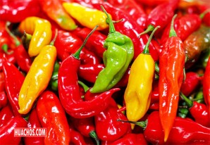 Ajíes peruanos: conoce por qué es saludable consumir con frecuencia estos superalimentos Ajíes peruanos: conoce por qué es saludable consumir con frecuencia estos superalimentos