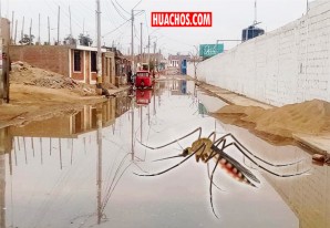 Nuevo ataque del temible dengue en Chincha Alta y pueblos vecinos Nuevo ataque del temible dengue en Chincha Alta y pueblos vecinos