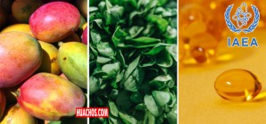 Técnica isotópica podría resolver el problema de la vitamina A en los programas de nutrición Técnica isotópica podría resolver el problema de la vitamina A en los programas de nutrición