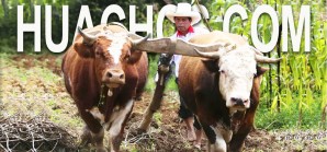 Full chamba para don Pedro, sembrando en tierras áridas-fértiles semillas ministeriales Full chamba para don Pedro, sembrando en tierras áridas-fértiles semillas ministeriales