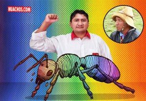 La cosa se le pone color de hormiga al líder máximo del partido Perú Libre La cosa se le pone color de hormiga al líder máximo del partido Perú Libre