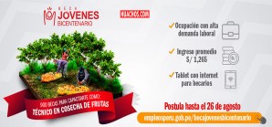 Oportunidades de aprendizaje de nuevos oficios para un mejor empleabilidad Oportunidades de aprendizaje de nuevos oficios para un mejor empleabilidad