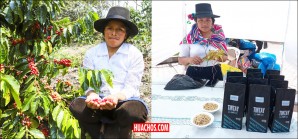 Pampas fue la sede del I Festival Regional del Café Huancavelicano -VIDEO Pampas fue la sede del I Festival Regional del Café Huancavelicano -VIDEO